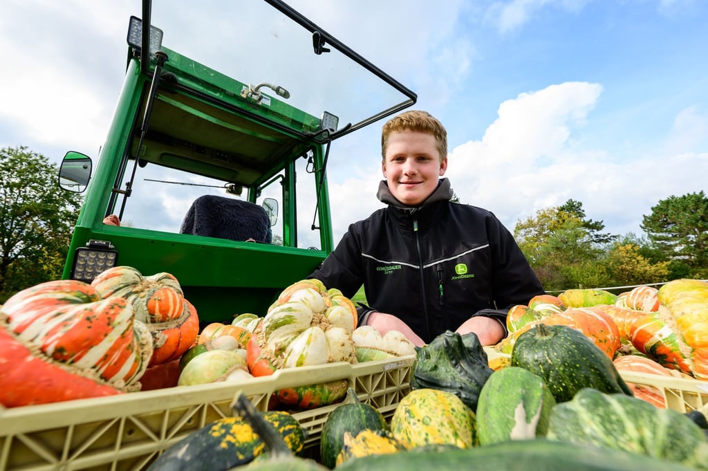 Sören Schulz, 15 Jahre alter Gemüsebauer, sitzt neben seinem Traktor und selbst angebauten Kürbissen.