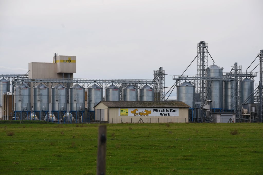 Das Unternehmen „MFL Mischfutter und Landhandel GmbH“ gibt es in seiner jetzigen Form seit 1994.