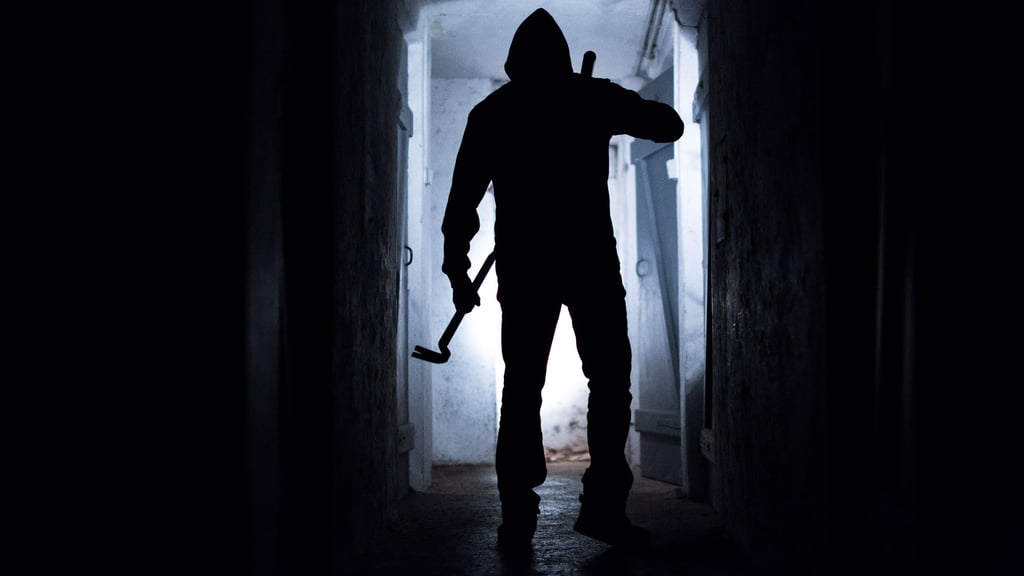 Diebe waren kürzlich in Winningen unterwegs und haben zwei Zaunfelder erbeutet.