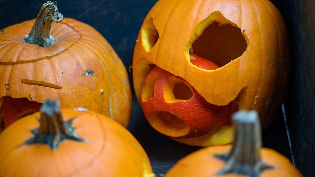 In Sachsen-Anhalt kann das Gruseln beginnen. (Archivbild)