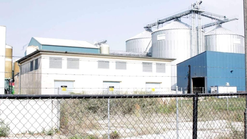 Die Schweinezuchtanlage in Gladau.