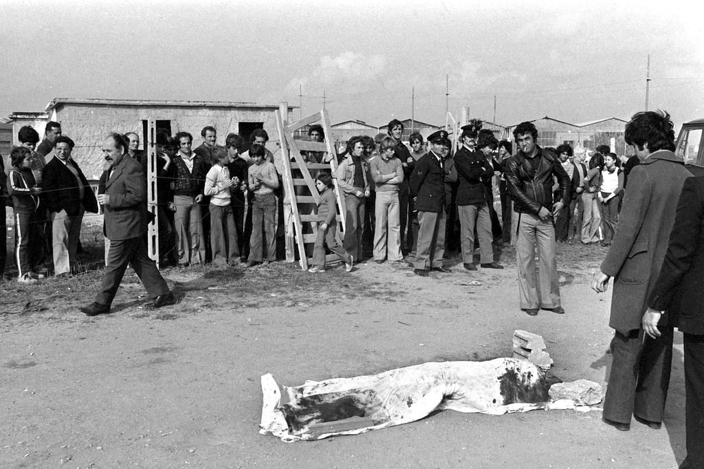 Der Mord an dem Regisseur Pier Paolo Pasolini beschäftigt Italien auch noch nach 50 Jahren. (Archivbild)