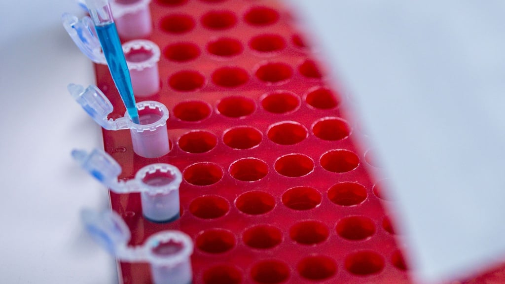 Die Berlin Science Week läuft bis zum 10. November. (Symbolbild)