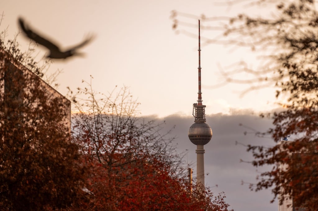 Ein grauer, milder Herbstsonntag in Berlin und Brandenburg – die neue Woche startet ruhig und meist trocken. (Archivbild)