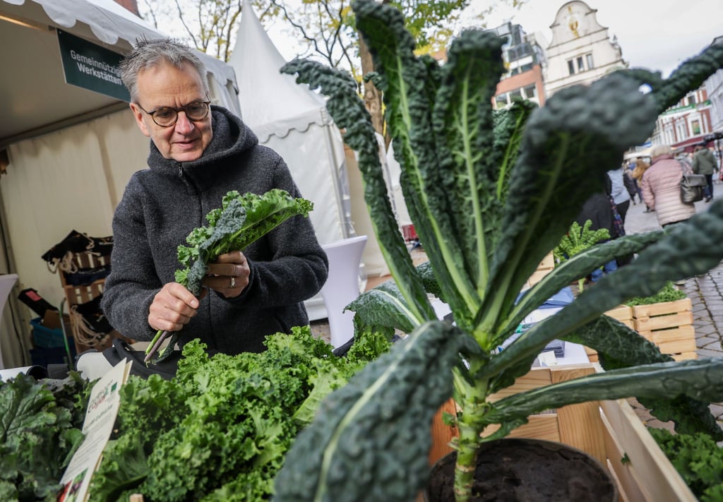 In Oldenburg wird der Beginn der Grünkohlsaison traditionell groß gefeiert.