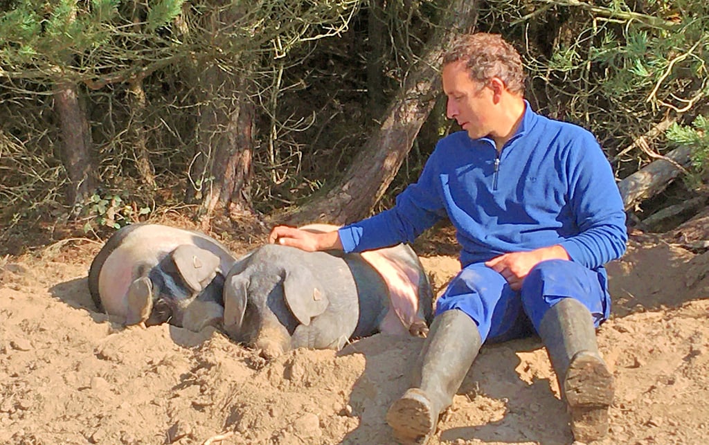 Der promovierte Agrarwissenschaftler  Rupert Stäbler aus Bayern will in Waldau eine Freilandhaltung für Schweine aufbauen. 