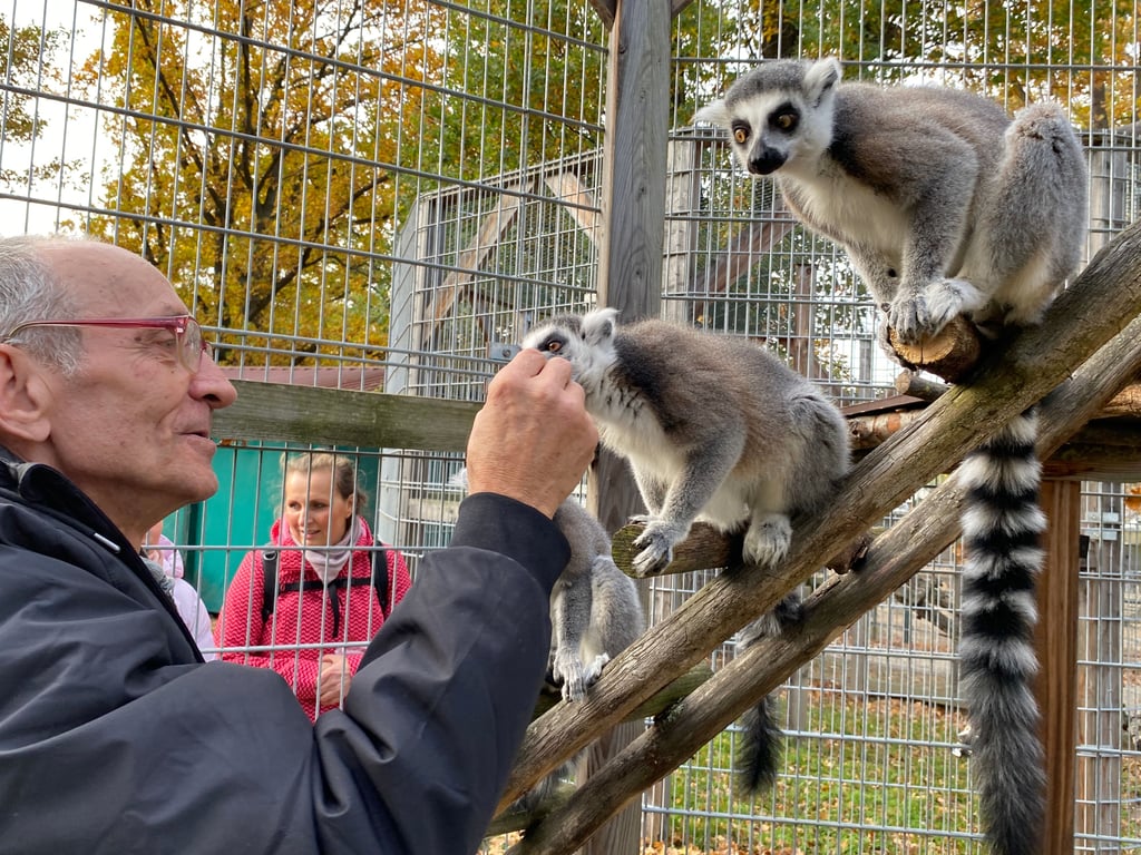 Der Halberstädter Michael Bussenius ist seit 50 Jahren als Zootierpfleger tätig. Als Rentner arbeitet er dennoch weiter, leitet den Westerhäuser Tierpark (Landkreis Harz). Hier füttert er Kattas.