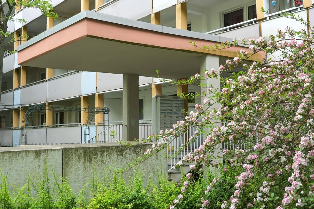 Die Attacke geschah vor einem Plattenbau in Halle. (Archivbild)