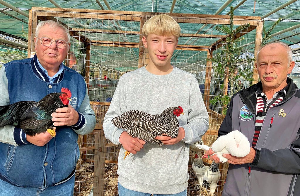 Erhard Apitz (v.li.), Tim Turek und Günter Weirauch wurden jeweils Kreis- als auch Vereinsmeister. 