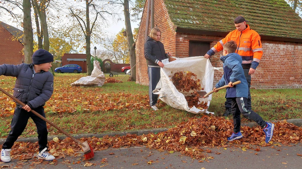 Das Aufstellen des Laubcontainers in Warnau  animierte Einwohner der Ortschaft  wieder zu einem spontanen Arbeitseinsatz.  Daran haben sich auch Kinder des Haveldorfes beteiligt. Sie befreiten gemeinsam mit Leo Sonnenberg die Straßenrinne von jeder Menge Laub.