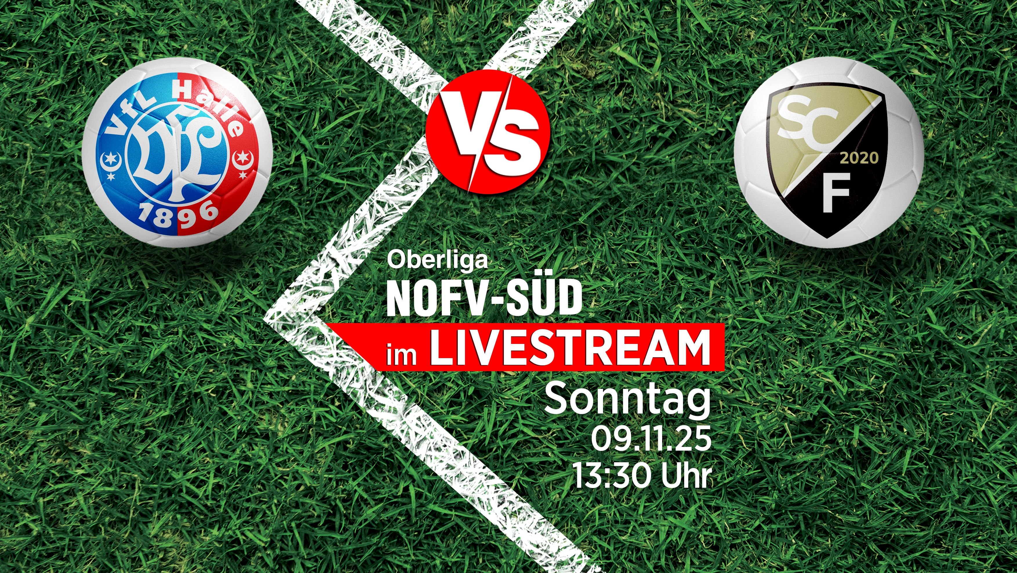 Der Vf'L Halle 96 empfängt in der NOFV-Oberliga Süd den Tabellenführer SC Freital. Volksstimme und Mitteldeutsche Zeitung übertragen im Livestream.