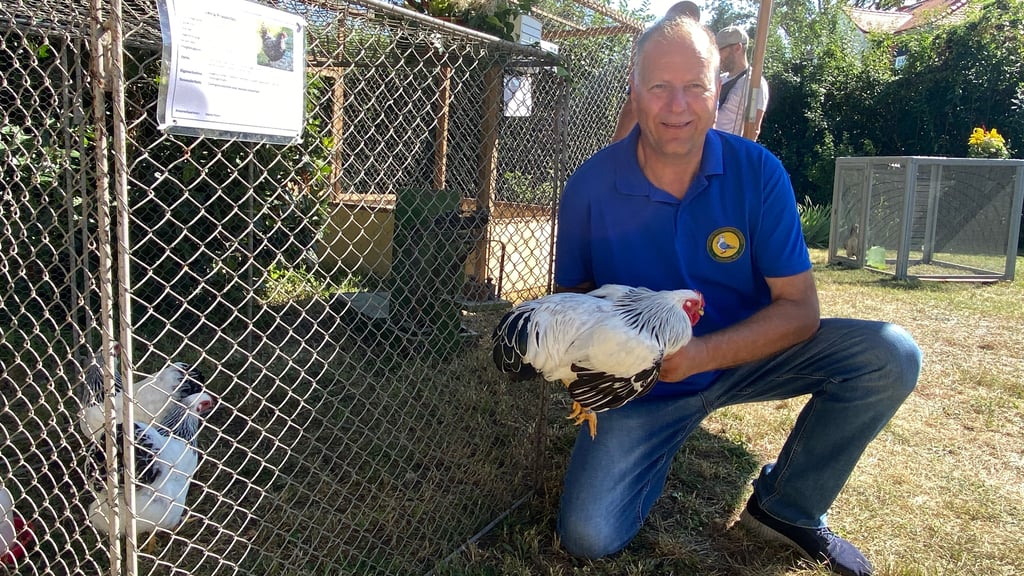 Mario Peters ist der Vorsitzende des Geflügelzuchtvereins Olvenstedt 1919. Im Jahr 2025 kann wegen der Vogelgrippe die geplante Ausstellung nicht stattfinden. 