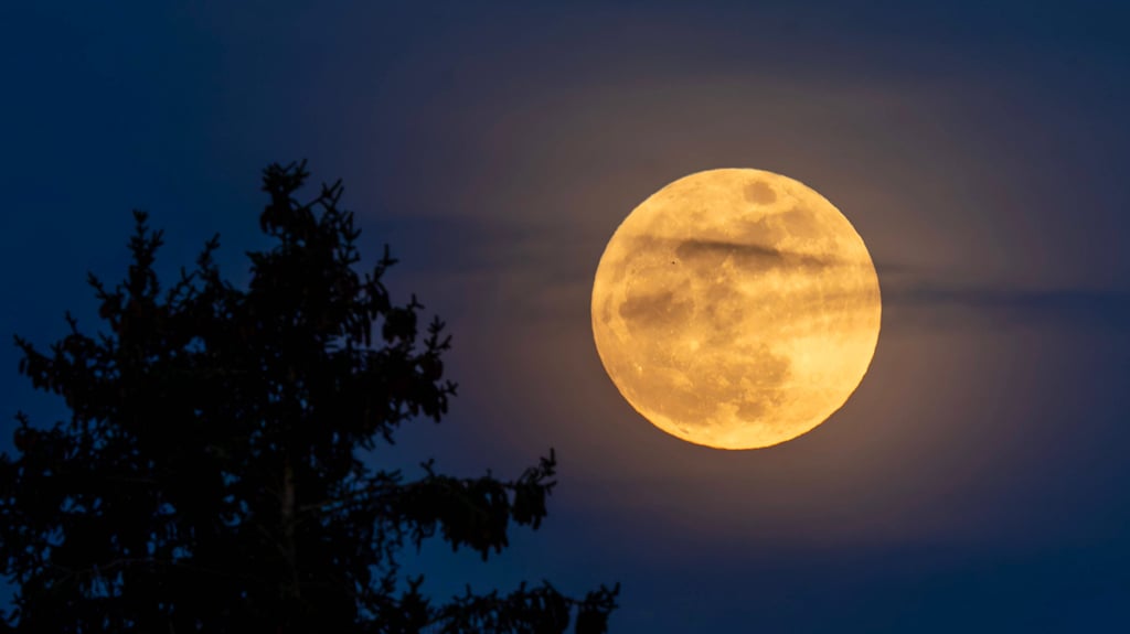 Am Mittwoch, 5. Novmber wird der Vollmond besonders gut am Himmel zu sehen sein - vorausgesetzt das Wetter spielt mit. 