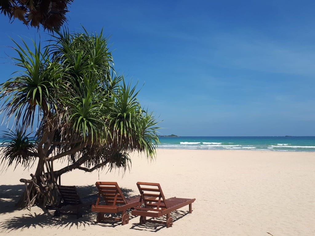 Um Urlaub in Sri Lanka zu machen, ist ein Visum erforderlich. Es empfiehlt sich, das Visum schon vorher online zu beantragen.