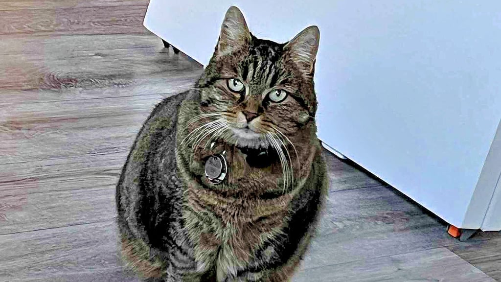 Die berühmte Stella vom „schwarzen Netto“ in Wittenberg –  kurvig und charmant. 