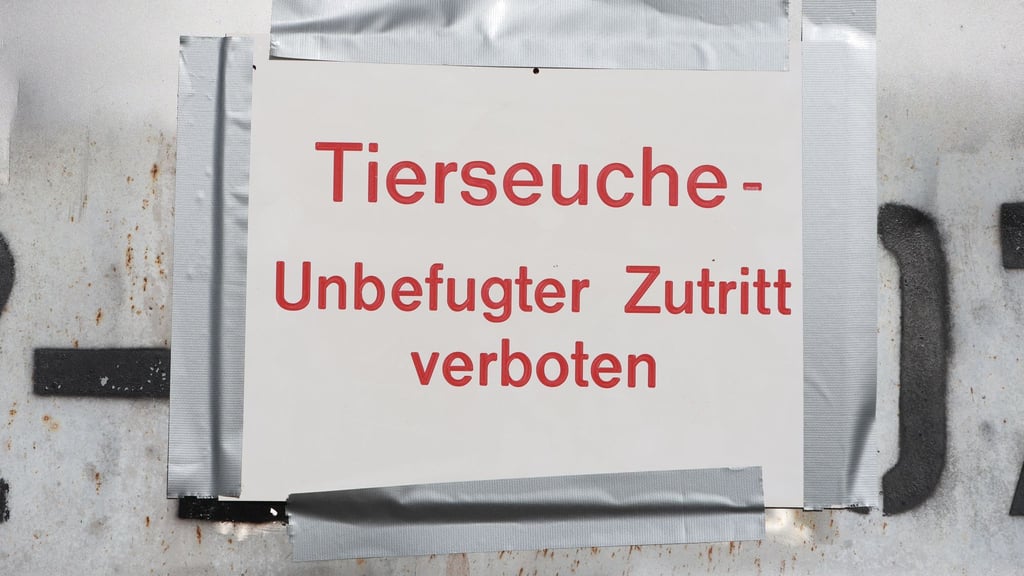"Tierseuche - Unbefugter Zutritt verboten" steht auf einem Hinweisschild. (Symbolbild)