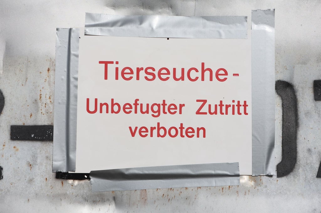 "Tierseuche - Unbefugter Zutritt verboten" steht auf einem Hinweisschild. (Symbolbild)
