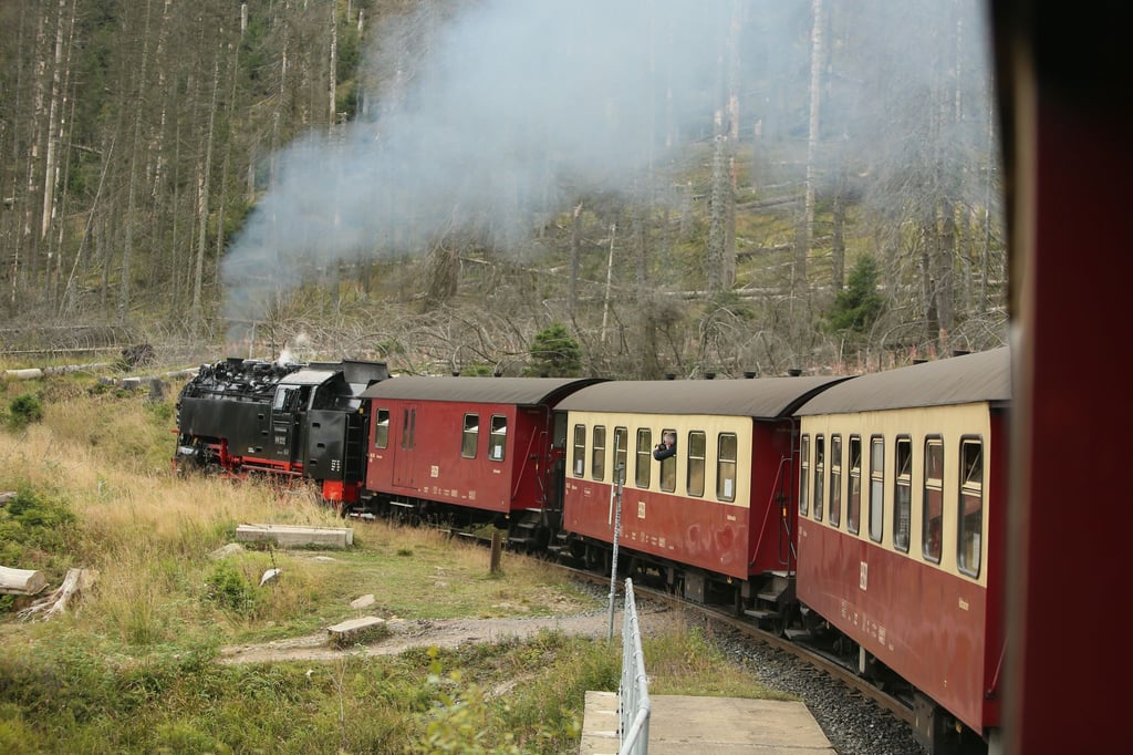 Gleisarbeiten legen im November Strecken der Harzer Schmalspurbahn lahm. (Archivbild)