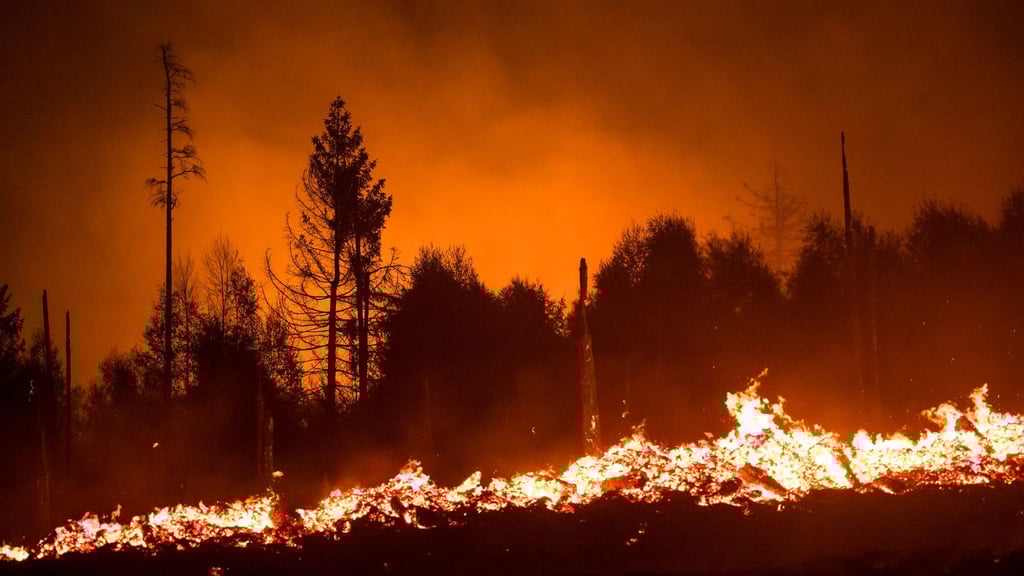 Wenn der Blick aus dem Hotelzimmer einen Waldbrand zeigt, ist an Erholung nicht mehr zu denken.