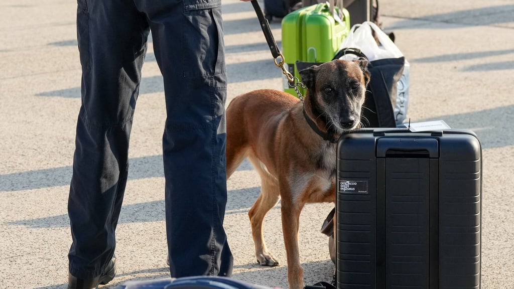 Das Gepäck des Mannes wurde nach seinen Aussagen genau unter die Lupe genommen. (Symbolbild)