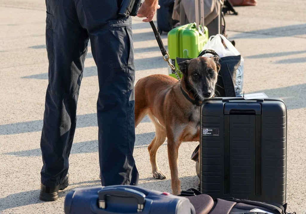 Das Gepäck des Mannes wurde nach seinen Aussagen genau unter die Lupe genommen. (Symbolbild)