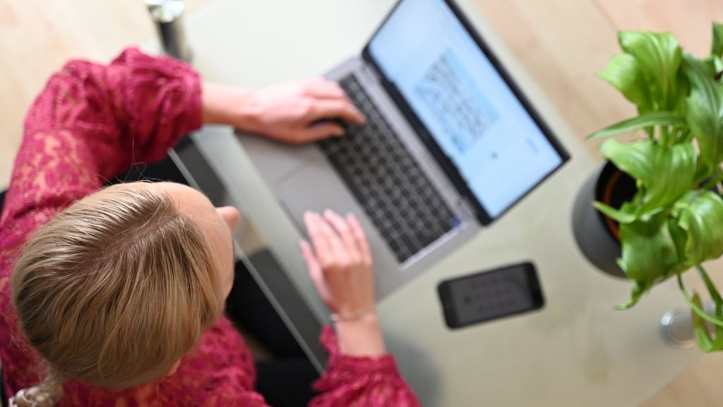 Onlineshopping hat Vor- und Nachteile. Eine Umfrage zeigt nun, was die Leute beim Einkaufen im Netz besonders nervt.