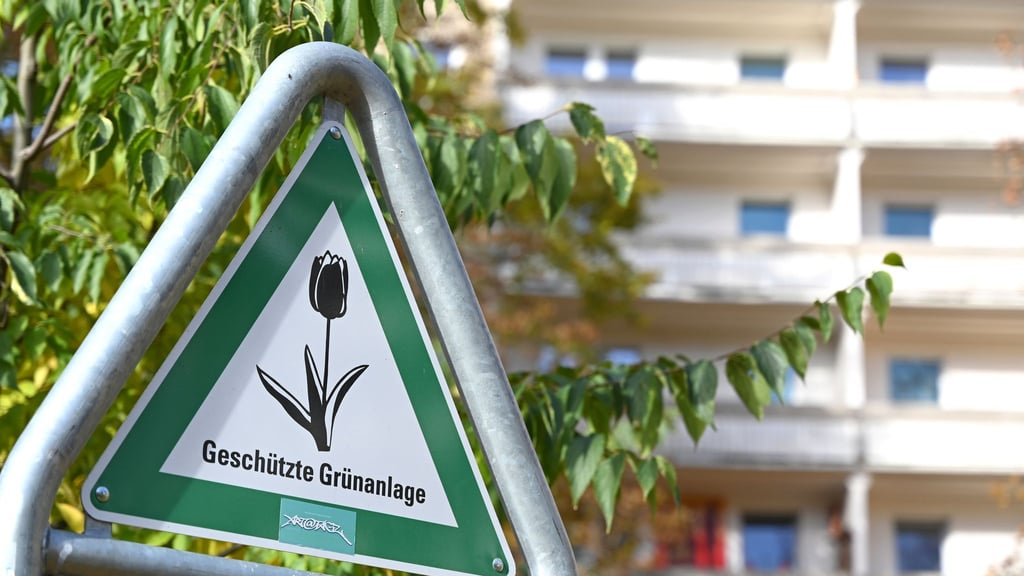 Laut dem neuen Klimaanpassungsgesetz soll es in Berlin mehr Bäume und mehr „Kühlinseln“ in Form von Grünanlagen geben. (Archiv)