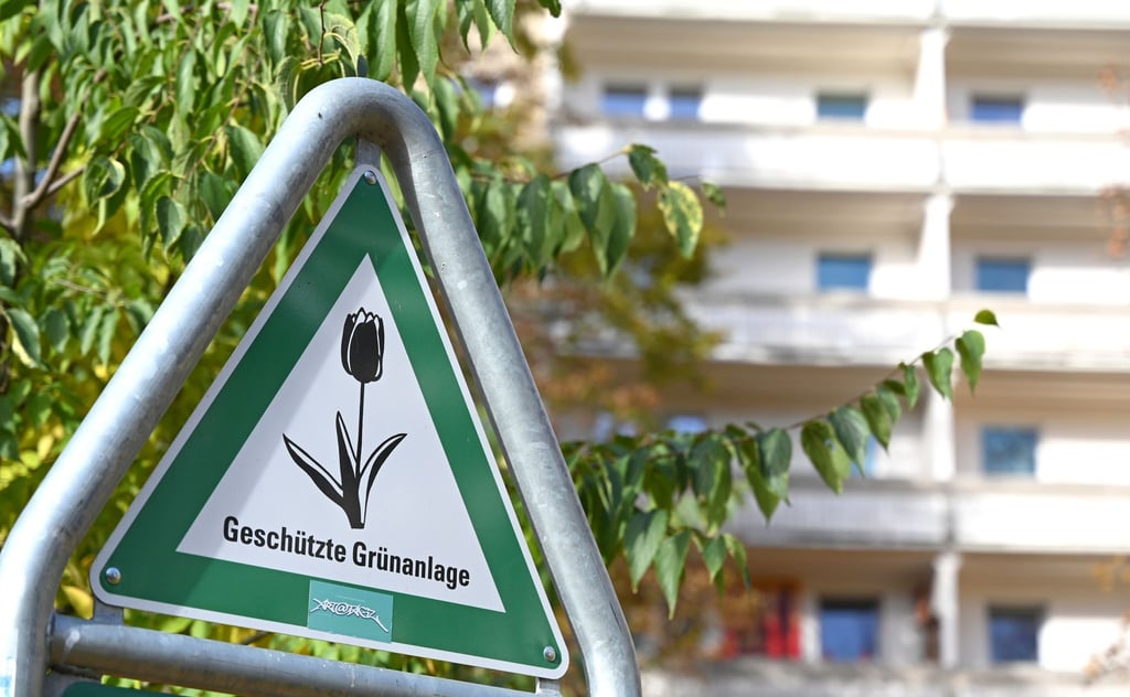 Laut dem neuen Klimaanpassungsgesetz soll es in Berlin mehr Bäume und mehr „Kühlinseln“ in Form von Grünanlagen geben. (Archiv)