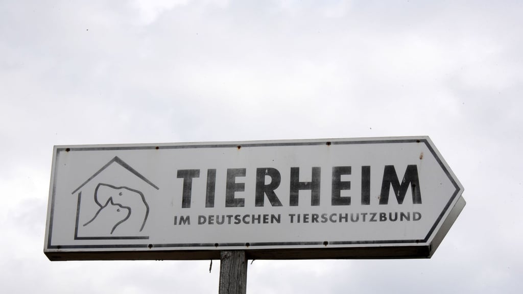 Künftig gibt es mehr Förderung für Tierschutz in Sachsen. (Symbolbild)