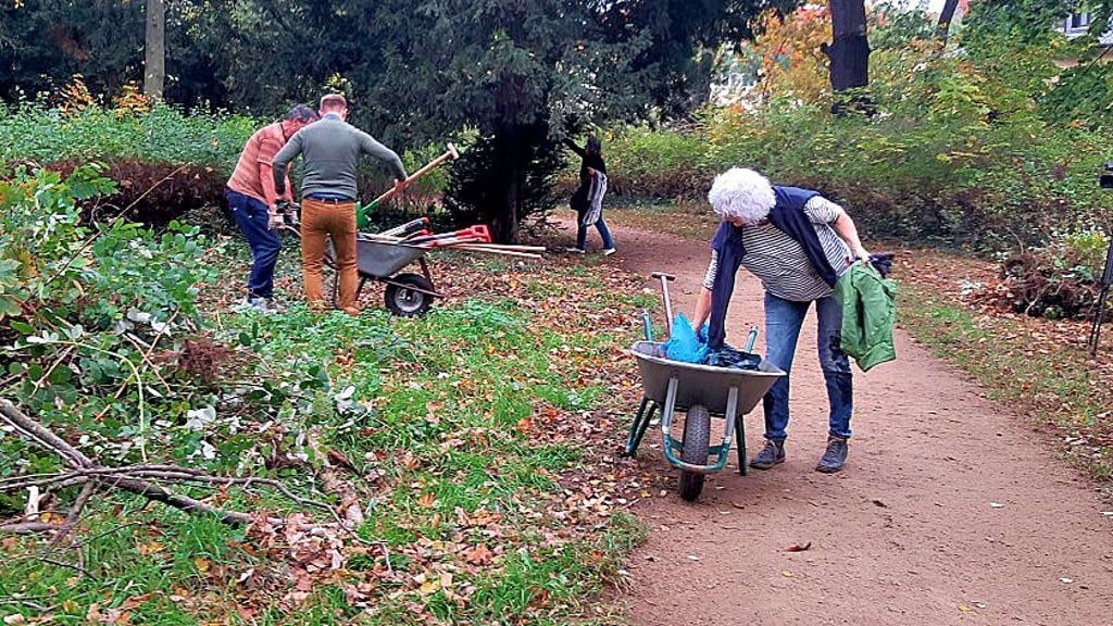 Förderverein räumt mit Freiwilligen im Georgengarten auf.