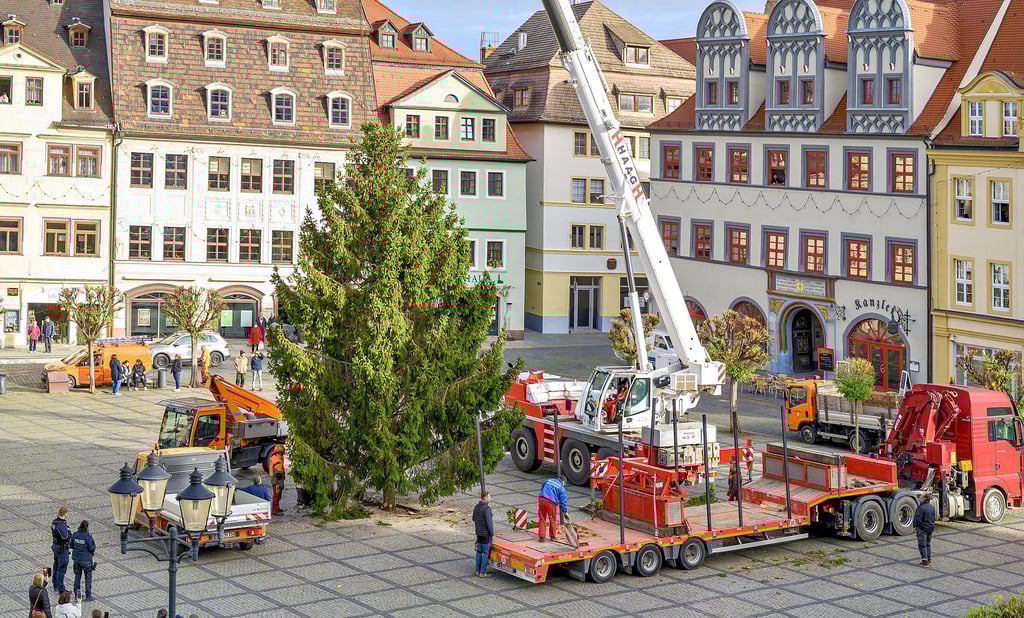 Der Weihnachtsbaum steht gleich: Die Fichte wird mit reichlich Technik und unter den Blicken von Passanten aufgestellt. 