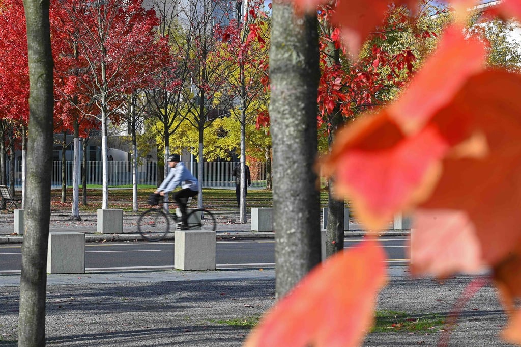 Bei milden Temperaturen und einigen Wolken bleibt es in den kommenden Tagen trocken. (Symbolbild)
