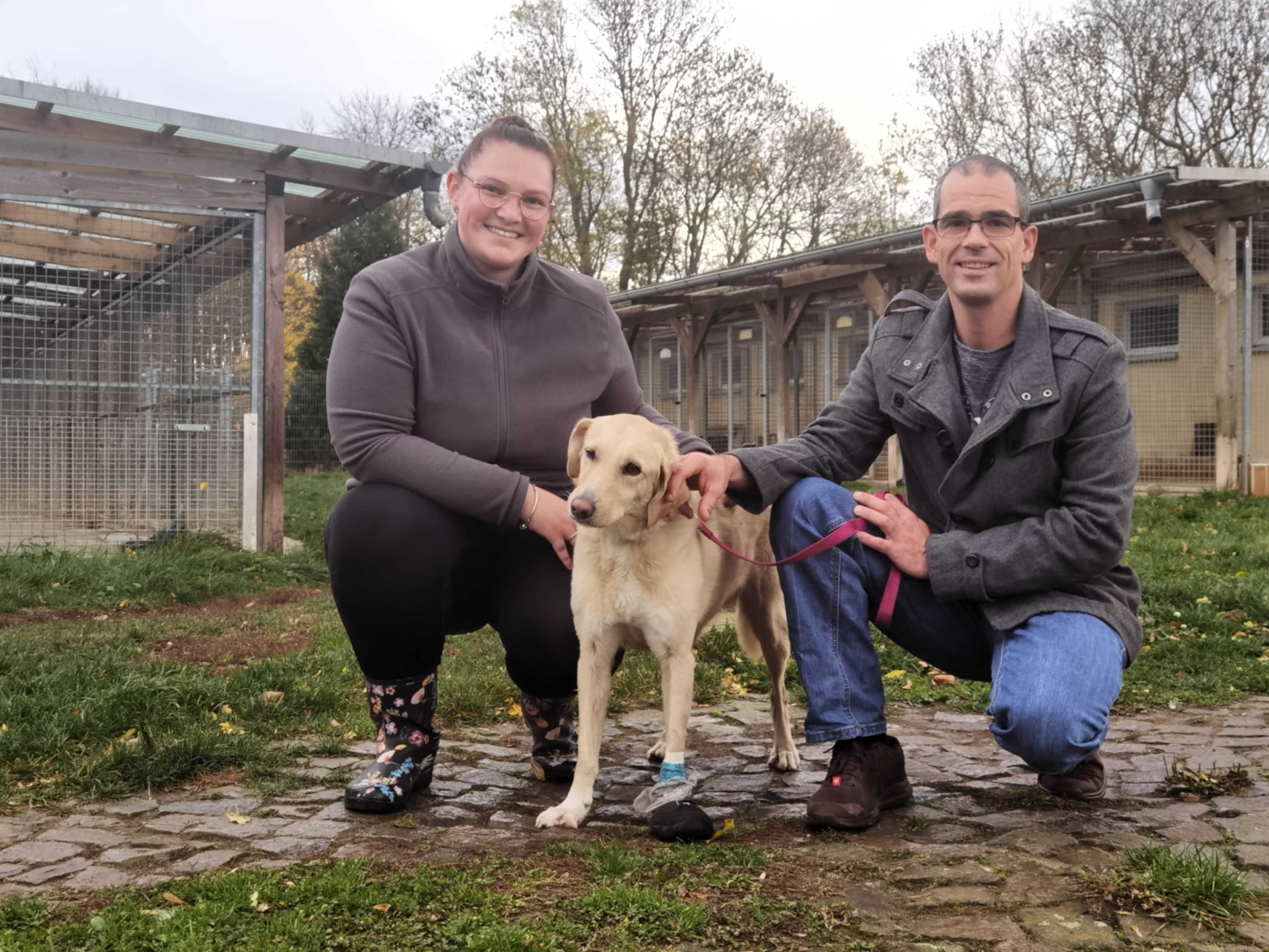 Tierheim Derenburg: Geburtstagsgäste von Harzer Oliver Weißleder zeigen großes Herz für Tiere