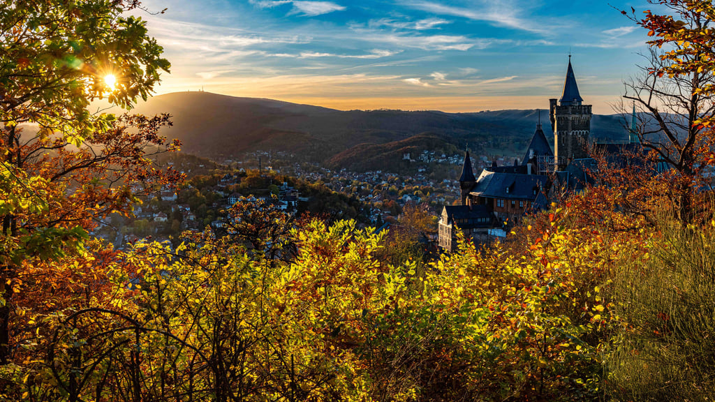 In der ersten Novemberwoche erwartet Sachsen-Anhalt den goldenen Herbst.