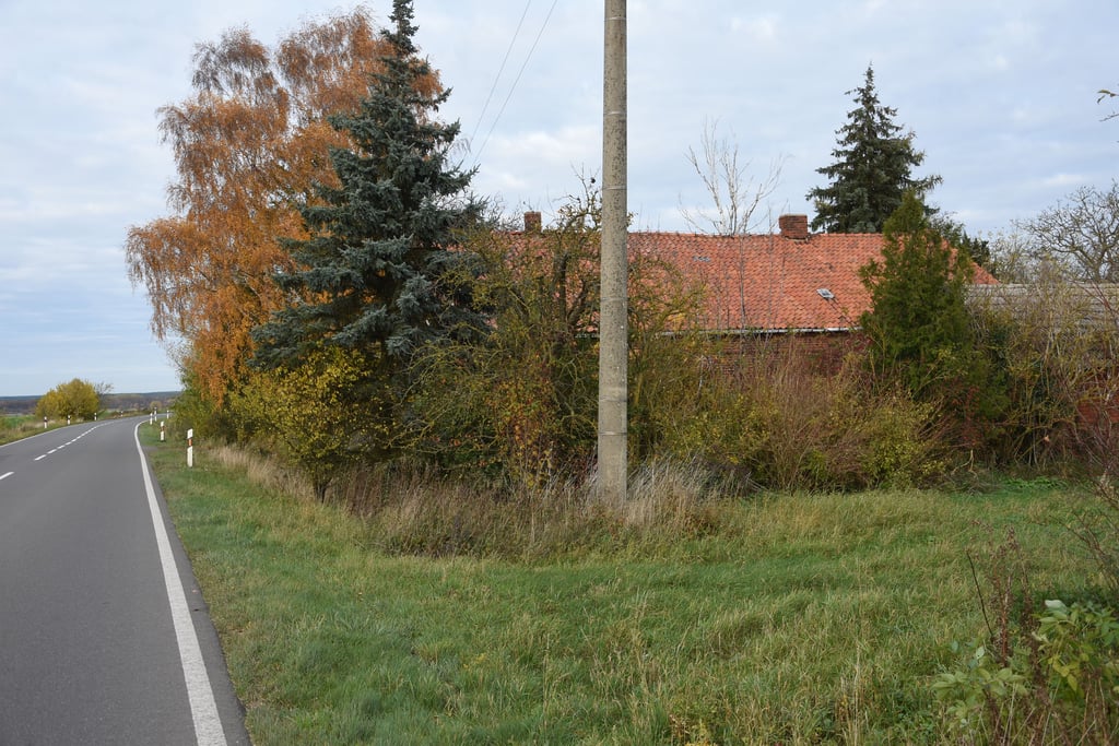Es geht um dieses Grundstück an der Landesstraße. Ursprünglich war vom Gölitz die Rede gewesen.
