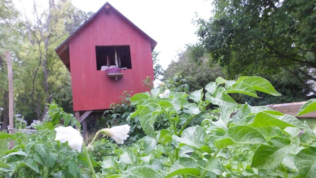 Der naturnahe Garten ist Thema im Museum für Naturkunde Magdeburg.