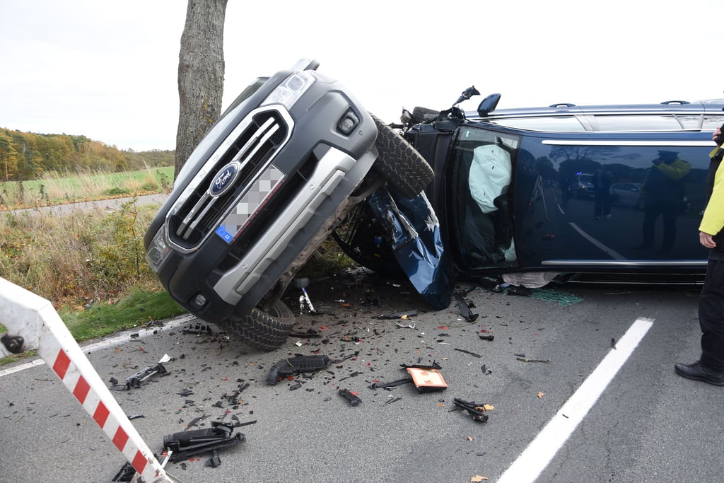 Der VW Passat (hinten) schob einen Anhänger gegen einen Ford Ranger und den wiederum gegen einen Baum.