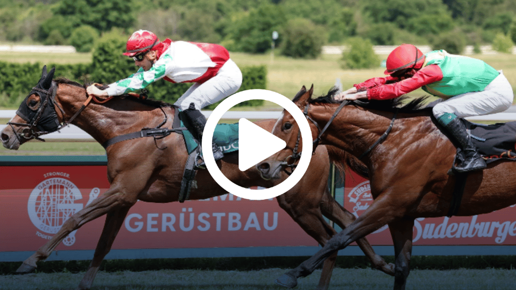 Rosel (l.) ist das erste eigene Rennpferd des Vereins Rennstall Passendorfer Wiesen und eine wahre Erfolgsgeschichte. Hier siegte sie dieses Jahr beim Rennen in Magdeburg.