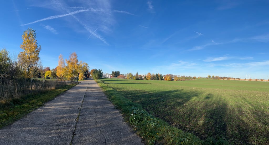 Am Nordrand vom Querfurt ist derzeit viel freies Feld. Das soll sich bald ändern. Dieser Feldweg wird eine der Straßen im Gebiet. 