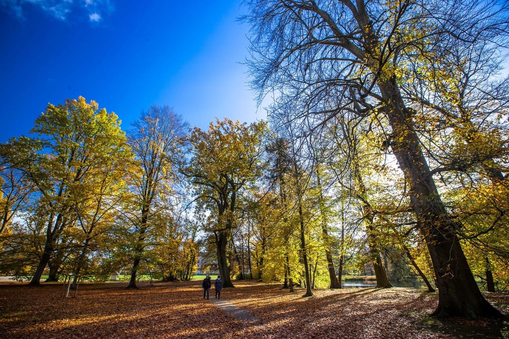 Die kommenden Tage zeigt sich der Herbst in Norddeutschland von seiner schönsten Seite. (Symbolbild)