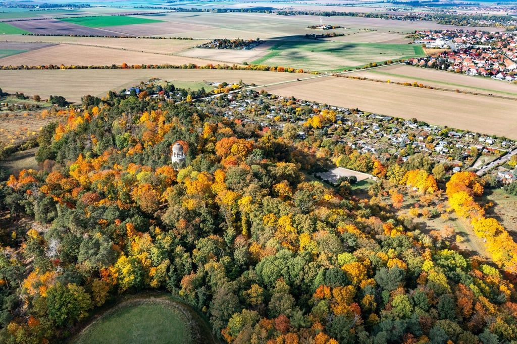 Nicht nur im Herbst lohnt ein Spaziergang in den Spiegelsbergen bei Halberstadt. 