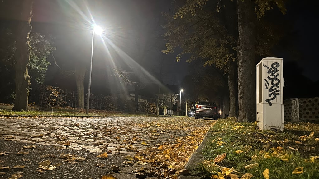 Die immer früher einbrechende Dunkelheit spielt den Dieben in die Karten. In Biederitz ist die Zahl der Einbrüche zuletzt deutlich gestiegen.&nbsp;