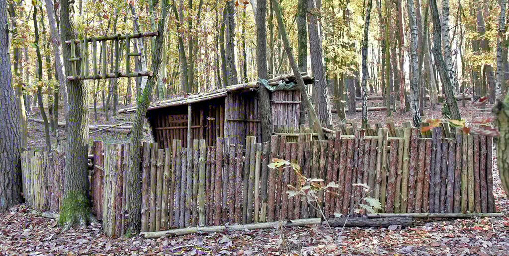 Allen Unkenrufen zum Trotz: Es gibt sie noch, die Kinder, die sich im Wald eine Butze bauen. 