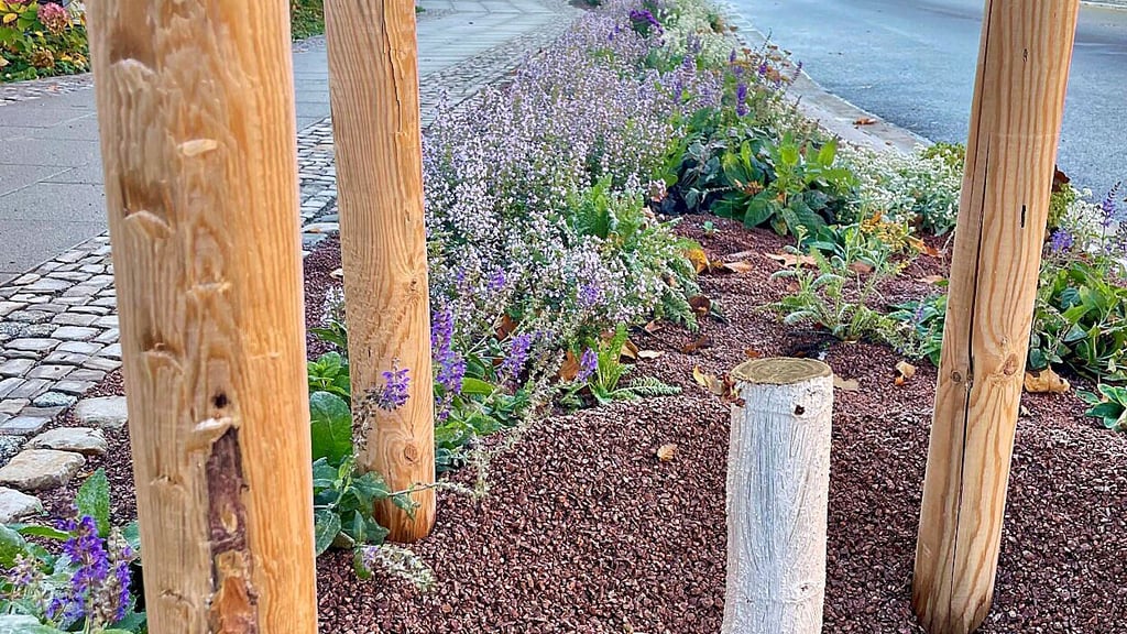 Dieser traurige Anblick der Lindenstümpfe sollte bald der Vergangenheit angehören. Neupflanzungen sind geplant.