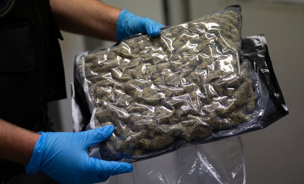 In Deutschland stellen Ermittler immer wieder Marihuana sicher. (Archivbild)