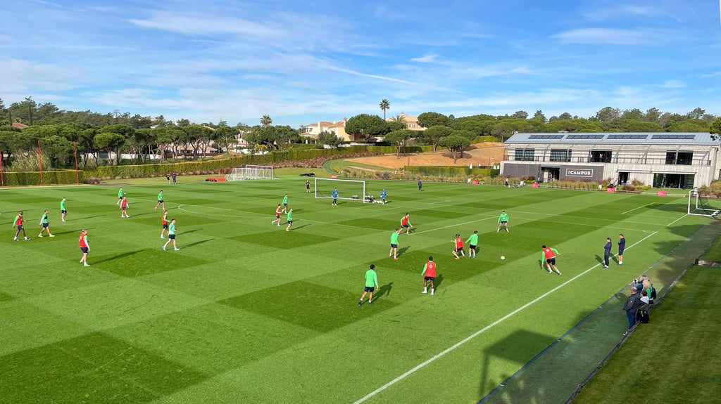 Sattes Grün: Trainingsplatz des Sportkomplexes Campus, wo auch schon der VfL Wolfsburg trainierte.