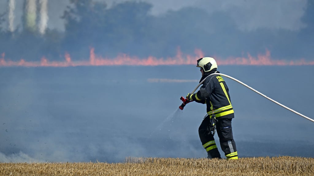 Immer neue Feldbrände hatten die Feuerwehren der Region im Sommer im Dauereinsatz gehalten. 
