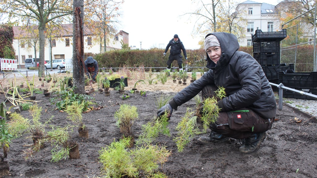 Marsha Jamrath Klimalehrbeet Parkplatz Holzmarktstraße Haldensleben
