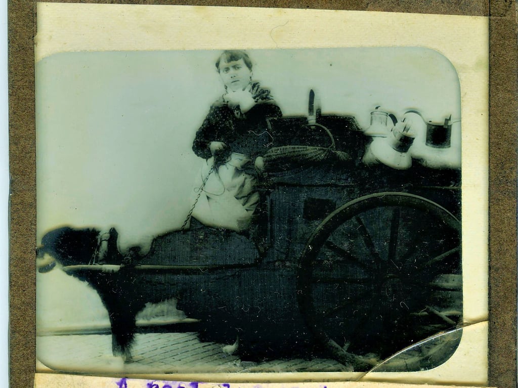 „A  real dog cart“, also „ein echter Hundewagen“, steht auf dem Uralt-Dia eines Londoner Touristen.