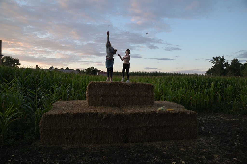 Das Hoffest der Bockhorst Agrar GmbH in Schlanstedt (Landkreis Harz) spült Geld in die Kassen der ortsansässigen Vereine. Das Fest hatte Kindern und Erwachsenen gleichermaßen Abwechslung geboten.